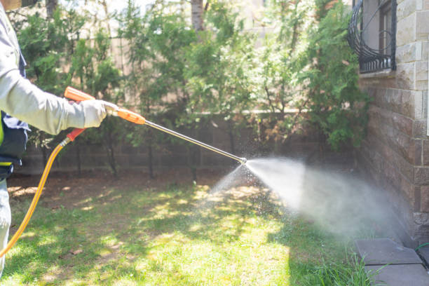 Bird Control in Bellville, TX