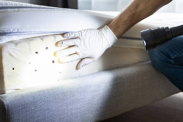 Best Commercial Pest Control Services  in Bellville, TX