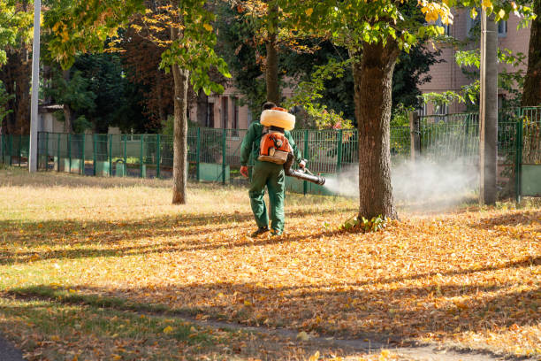 Best Insect Control  in Bellville, TX